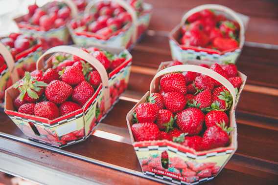 Strawberries at Les P'tits fruits de Marie